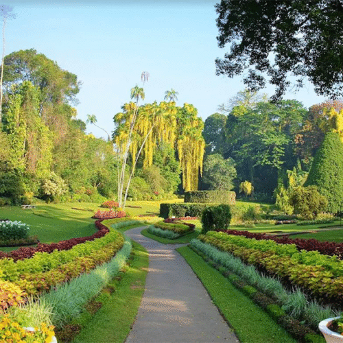 Peradeniya Royal Botanical Gardens