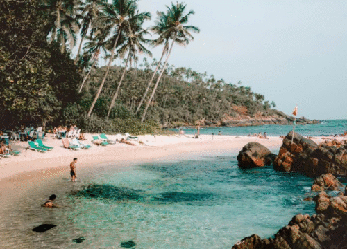 Top 7 Beaches in Sri Lanka for a Perfect Tropical Escape