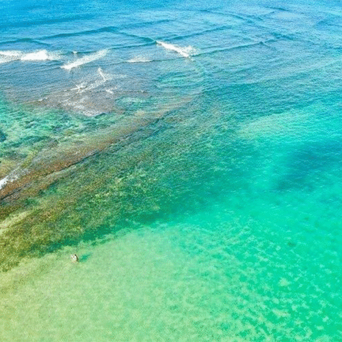 Hikkaduwa Beach & Coral Sanctuary