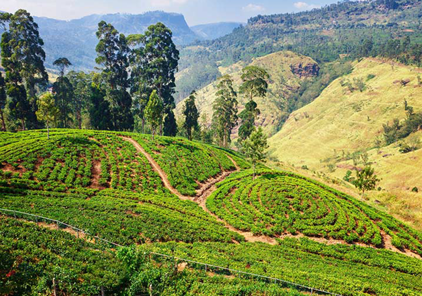 Hill Country Stay at Hatton