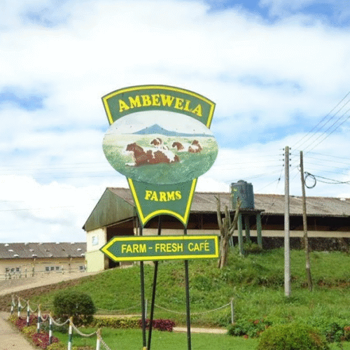 Ambewela Dairy Farm