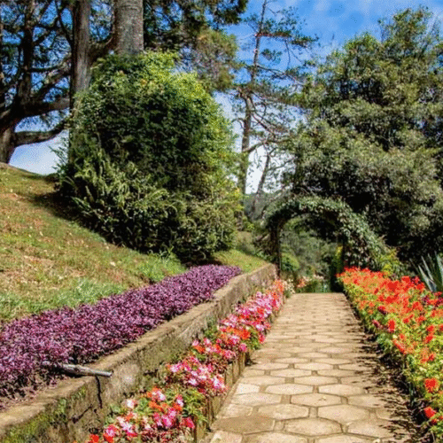 Hakgala Botanical Garden