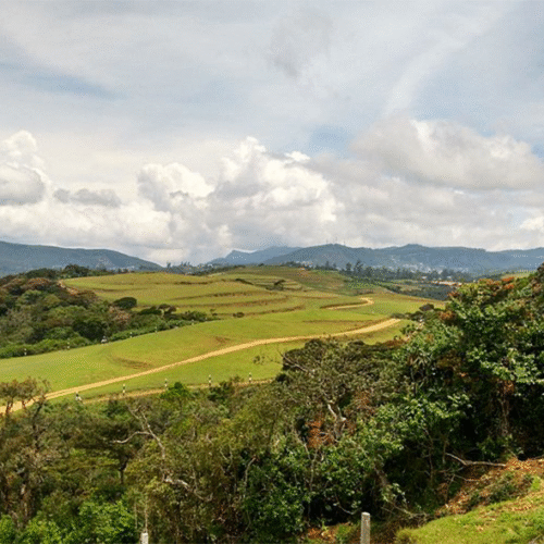 Moon Plains (Sandathenna)